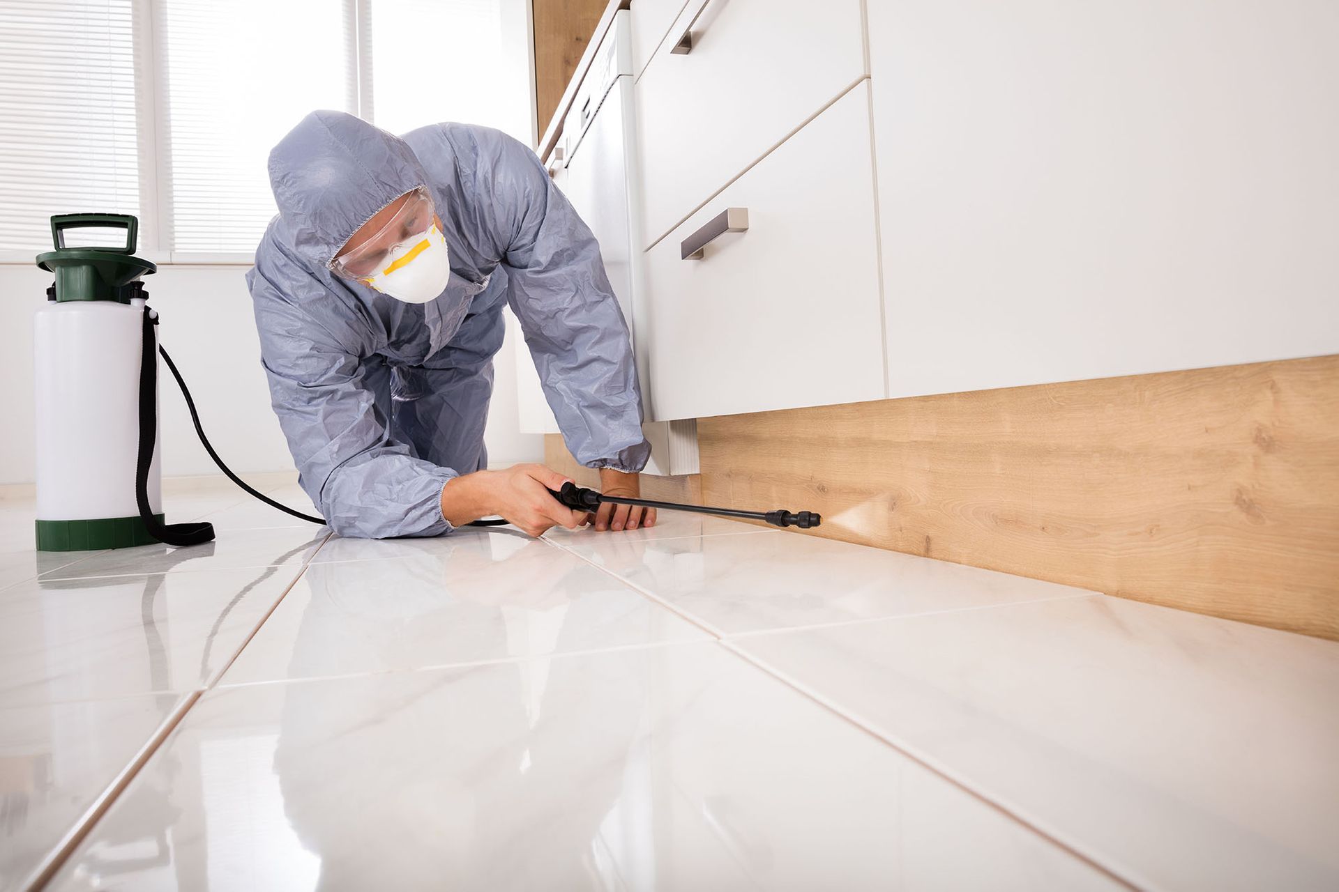 Residential Pest Control Services: Ensuring a Pest-Free Living Environment for Your Family