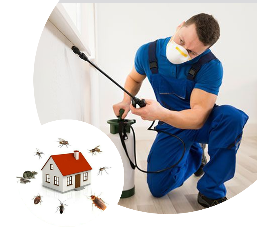 Sydney's Top-Rated Commercial Pest Control Company