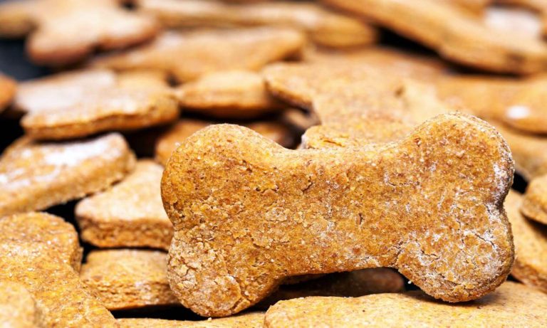 Pup-Approved Perks The Hidden Benefits of Enriching Your Dog’s Diet with Treats