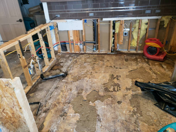 Expert Water Damage Restoration Services in Cypress